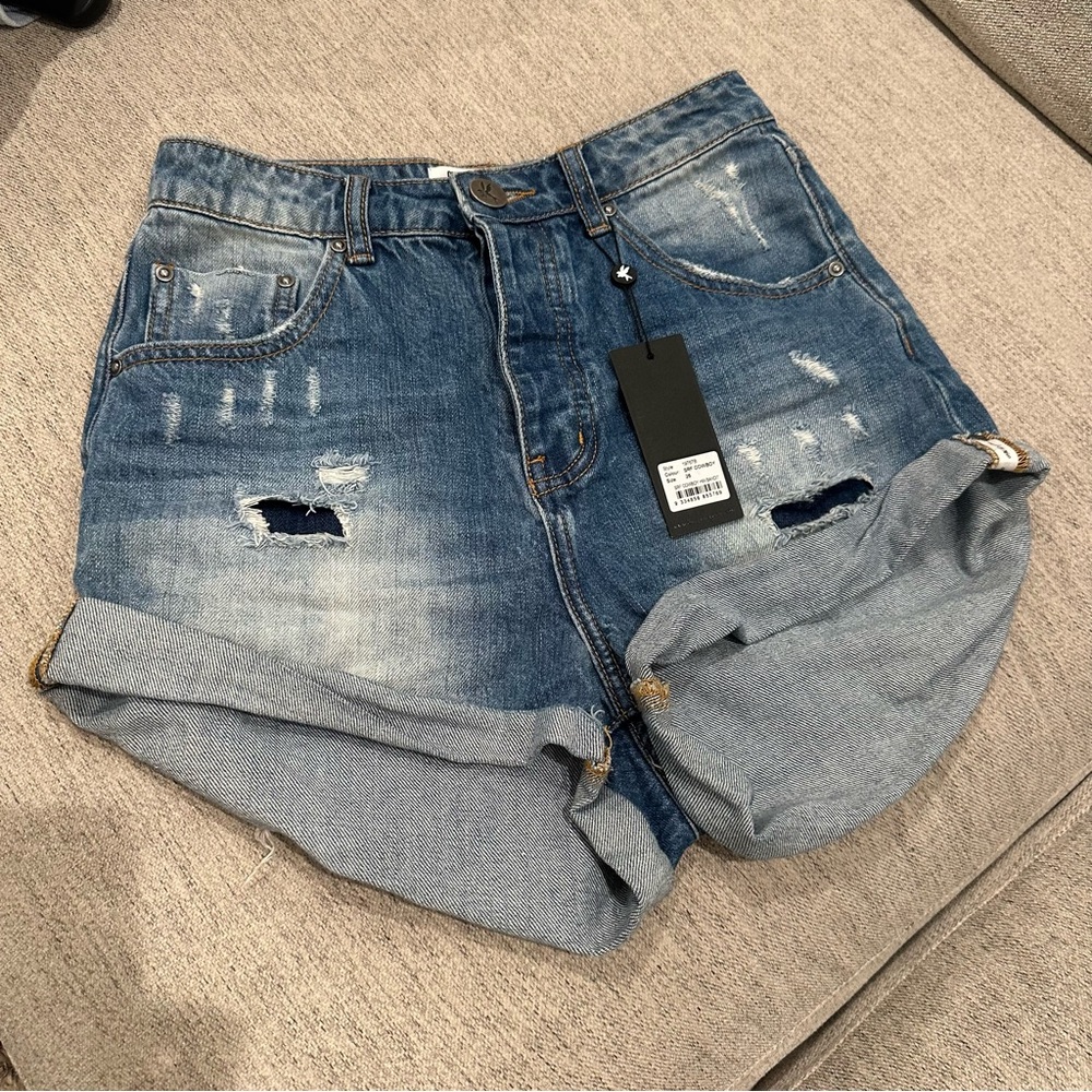 One Teaspoon High Waisted Bandit Jean Shorts in Surf Cowboy